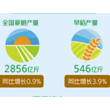 农业经济持续向好 农民收入增长稳定丨中经发布