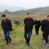 慈利县：打造重点产业助力乡村振兴