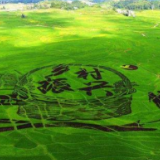 人大代表听民声丨农业代表专业小组：发挥专业优势 助力乡村振兴