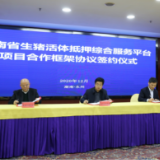 授信1.2亿元！湖南生猪活体抵押贷款落地