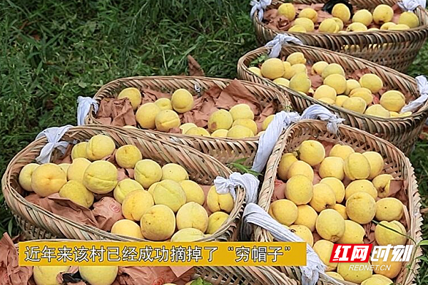 微信图片_20200806154424.jpg
