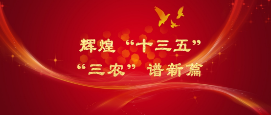 辉煌“十三五” “三农”谱新篇.png