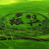 全国政协委员热议加快农业农村现代化—— 巩固和拓展脱贫攻坚成果 做好同乡村振兴有效衔接