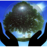 做好“三篇文章”推动湘西州生态环境持续向好