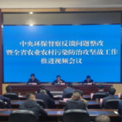 湖南省农业农村厅召开中央环保督察反馈问题整改暨全省农业农村污染防治攻坚战工作推进视频会议