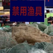 36种渔具禁止在长江流域重点水域使用