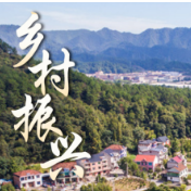 图说：中央一号文件为乡村振兴描绘美好蓝图