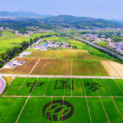 湖南4地入选全国村庄清洁行动先进县