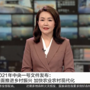 2021年中央一号文件发布：全面推进乡村振兴 加快农业农村现代化