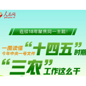 图解：划重点！"十四五"时期"三农"工作这么干