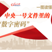一图读懂中央一号文件里的“数字密码”