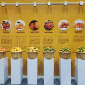 永州市：神仙洞蜜桔专业合作社荣获“国家级农民合作社示范社”