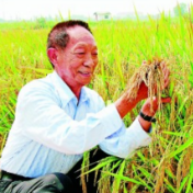 把饭碗牢牢端在自己手里