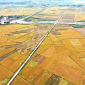 农业农村部：在全国范围内开展农业种质资源普查