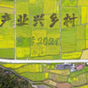 推进乡村振兴，加快农业农村现代化，湖南这么干！