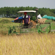 机械化插秧补短板 500万台农机投入春耕春插