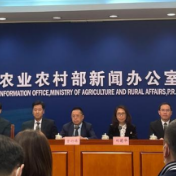 四年来首次!农业农村部:冬小麦面积增加300多万亩