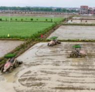 农业农村部:确保全年粮食产量稳定在1.3万亿斤以上