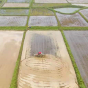 “谷雨”时节春耕忙 田间地头抢农时