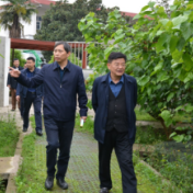 湖南省农业农村厅领导到省蚕桑科学研究所调研工作