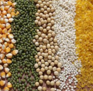 抢先抓早提前谋划夏粮收购准备