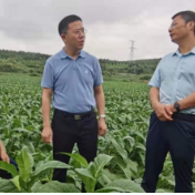 芷江县龚红果带队赴郴州考察特色农业产业