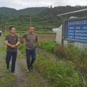 怀化市农业农村局调研鹤城区蔬菜病虫害绿色防控工作