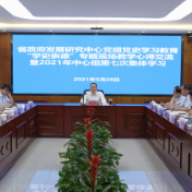 湖南省人民政府发展研究中心召开党史学习教育 “学史崇德”专题学习研讨会