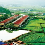 用实力诠释“湖广熟,天下足”