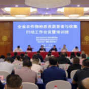 扎实开展湖南省农业种质资源普查，打好种业翻身仗