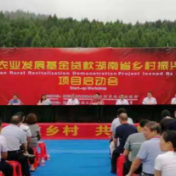 国际农业发展基金贷款湖南省乡村振兴发展项目启动会议召开