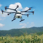 科技部将实施科技支撑乡村振兴行动