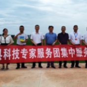 衡南县：谋划产业发展，按下乡村振兴“快进键”