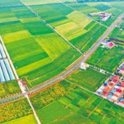 湖南桃江：藏粮于地 旱涝保收