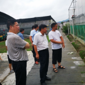 湖南省农业农村厅赴五果溜村调研指导产业发展