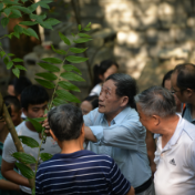 用 “良方”造“良血”，生物机电助力三角潭村中药材种植