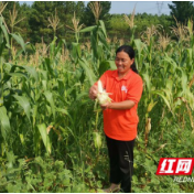 绿色食品三湘行 |“伍妹子”颜芬良：做让消费者放心的绿食经营者