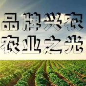 因地制宜 创建各具特点的县域农业品牌