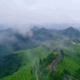 行走的绿水青山  有机茶让牛角山成“金山银山”