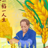 海报 | 风吹稻花香，他带着“梦”的种子去了远方