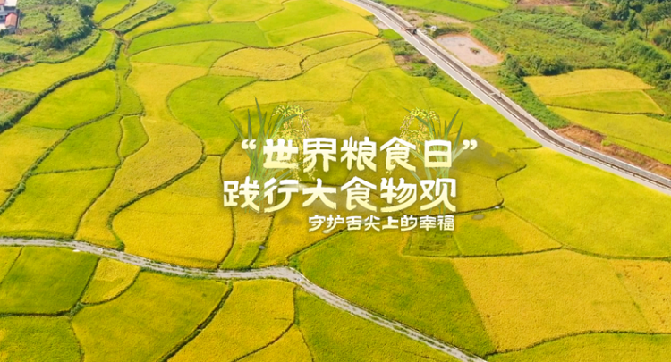 世界糧食日 | 踐行“大食物觀”，給14億人的飯碗帶來了哪些改變