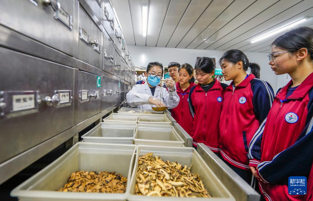 10月22日，中医师在药房向河北省遵化市高级中学学生介绍中草药称重方法。