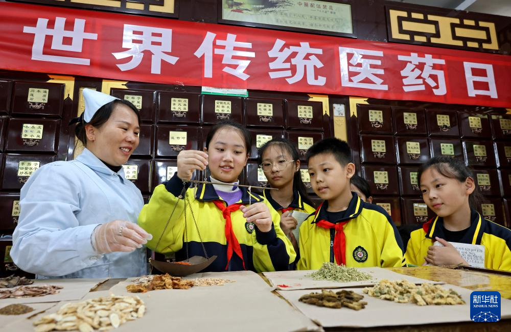 10月22日，山东省枣庄市文化路小学学生在一家中药店体验称量中草药。