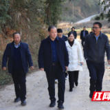 省政务服务和大数据中心党委书记、主任禹向群率队赴双峰县金凤村调研指导工作