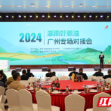 展粮油、品湘菜、强对话 2024湖南好粮油走进大湾区