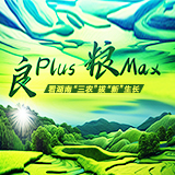 AI海报 | 良plus 粮max 看湖南“三农”拔“新”生长