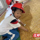 种下爱粮节粮的种子 小朋友零距离感受“大国粮仓”