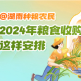 图解 | @湖南种粮农民 2024年粮食收购，这样安排