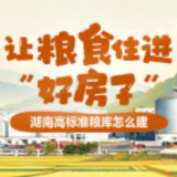 一图了解 | 湖南高标准粮库怎么建