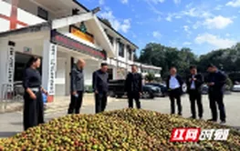 湖南建投集团一行赴慈利县、石门县调研指导乡村振兴工作